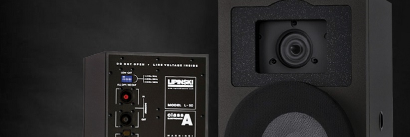 LIPINSKI L-50 Detail